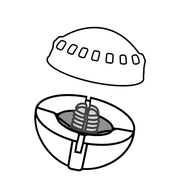 Airlock Centerlock Indicators 3-Pack