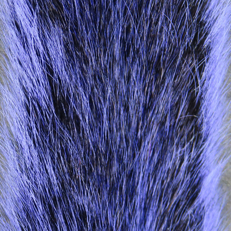 Gray Squirrel Tail