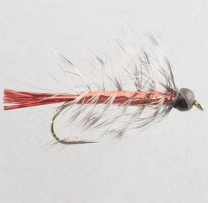Kelly's BB Coho Bugger