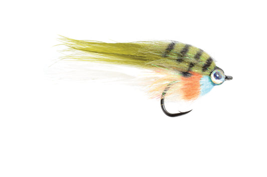 Lowfat Minnow