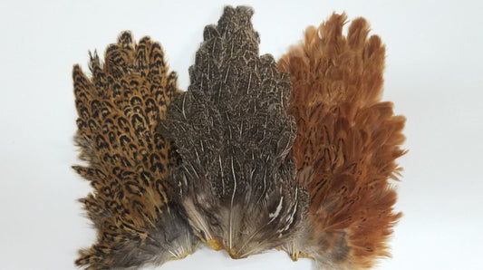 Select Hen Saddle