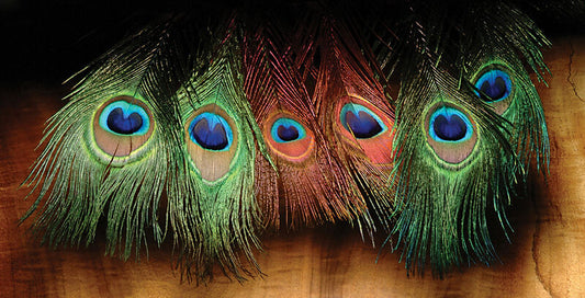 Peacock Eyed Sticks