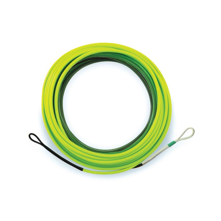 Airflo Skagit Compact FIST