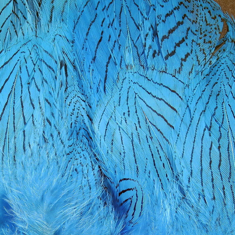Silver Pheasant Body Feathers