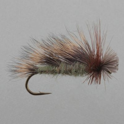 BC Tri-Wing Sedge