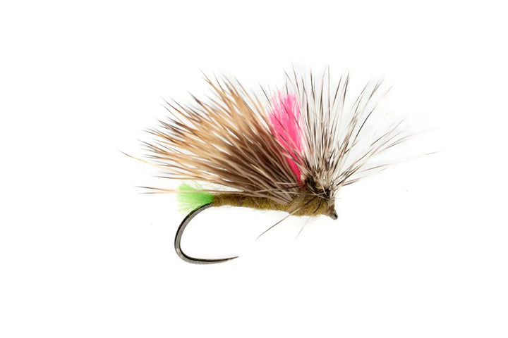 Olsen's Front End Loader Caddis Barbless