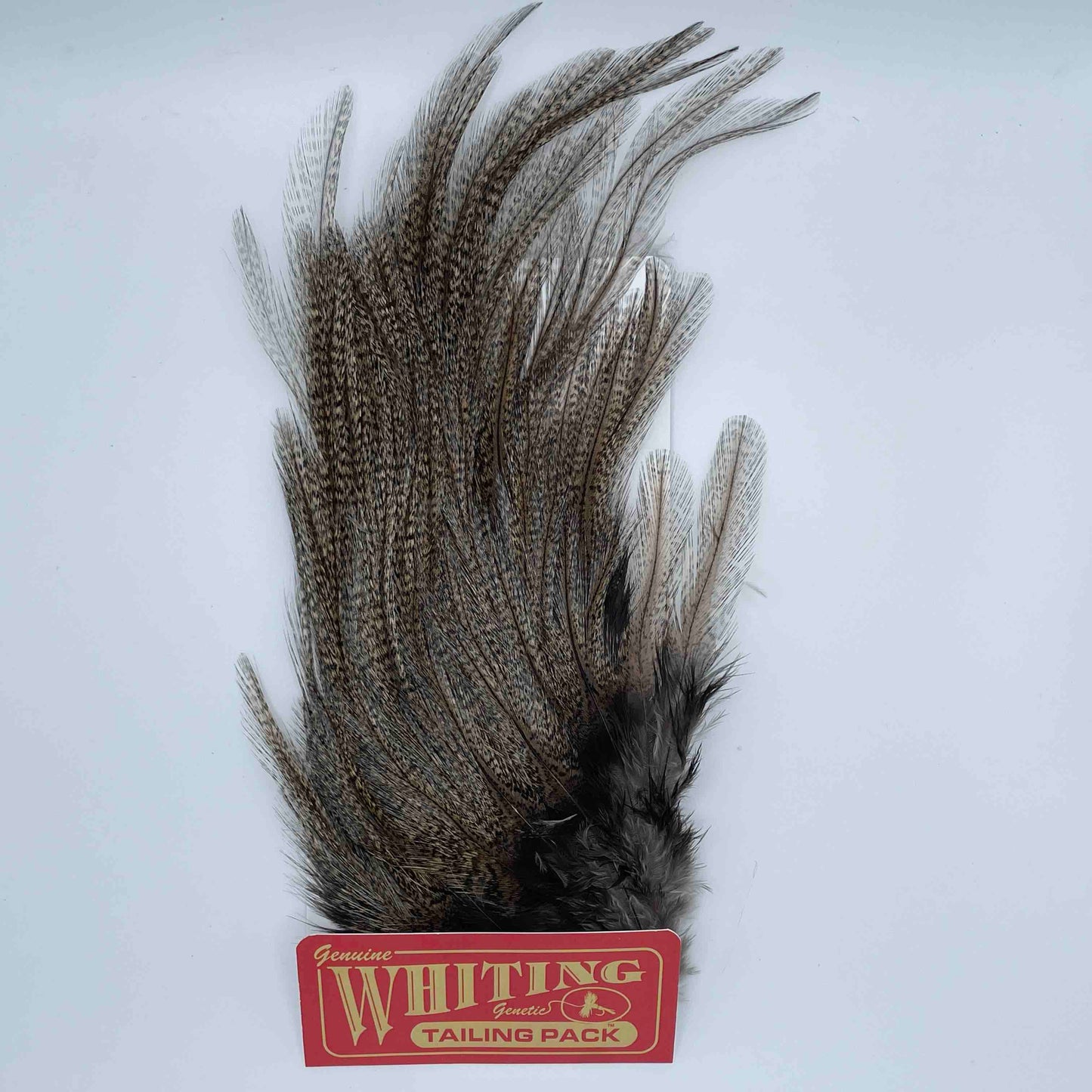 Whiting Farms CDL Euro Nymph Tailing Pack